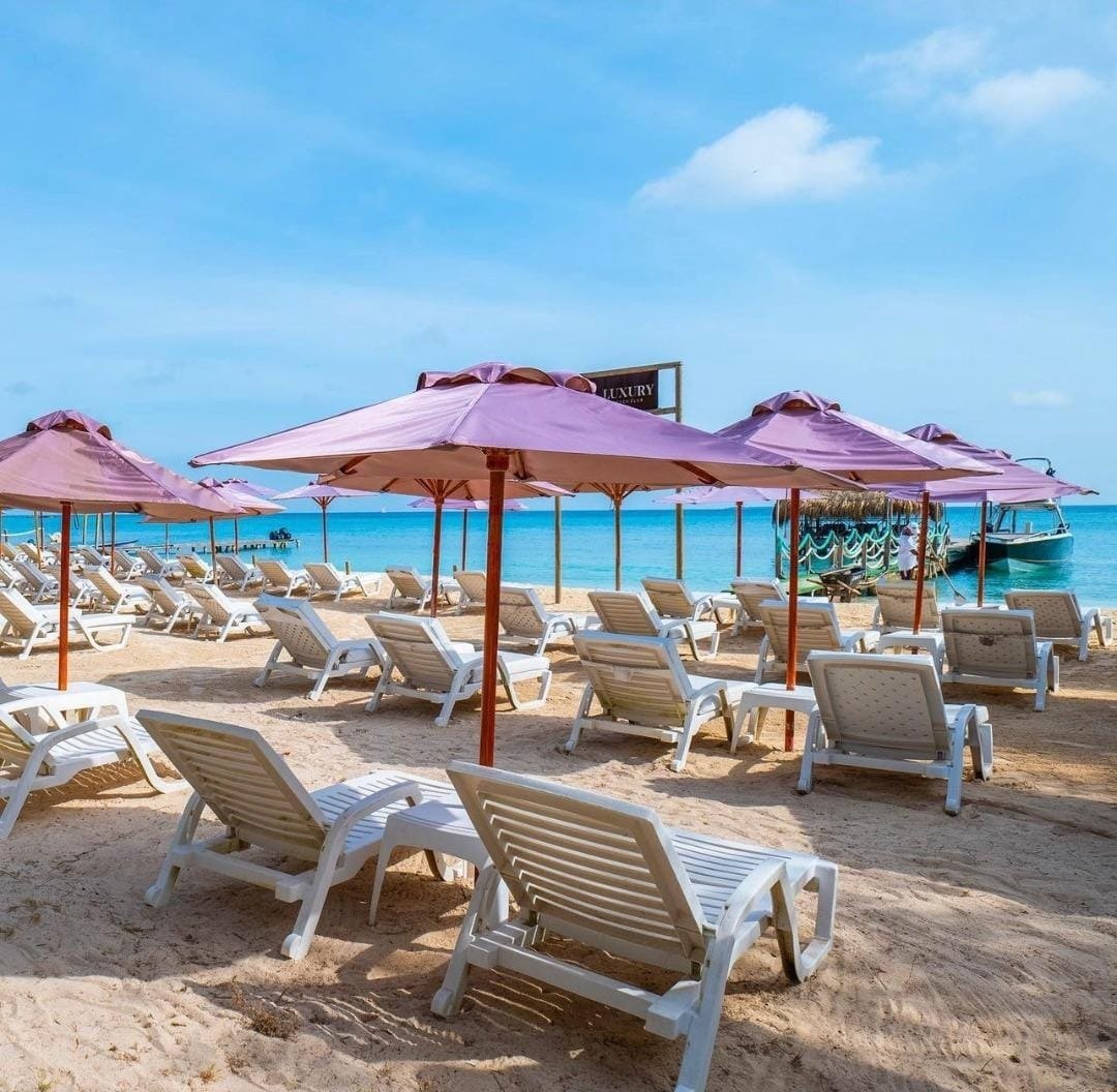 Luxury Beach Club Open Bar