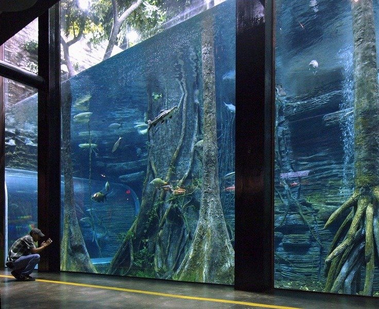 Parque Explora + Pueblito Paisa