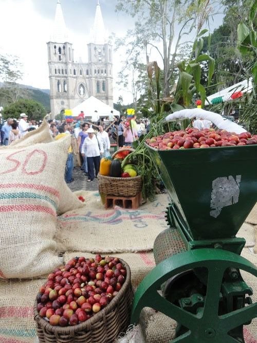 Paisaje cafetero cerca de Medellín