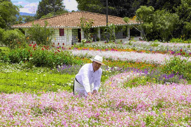 Tour Silleteros En Santa Elena